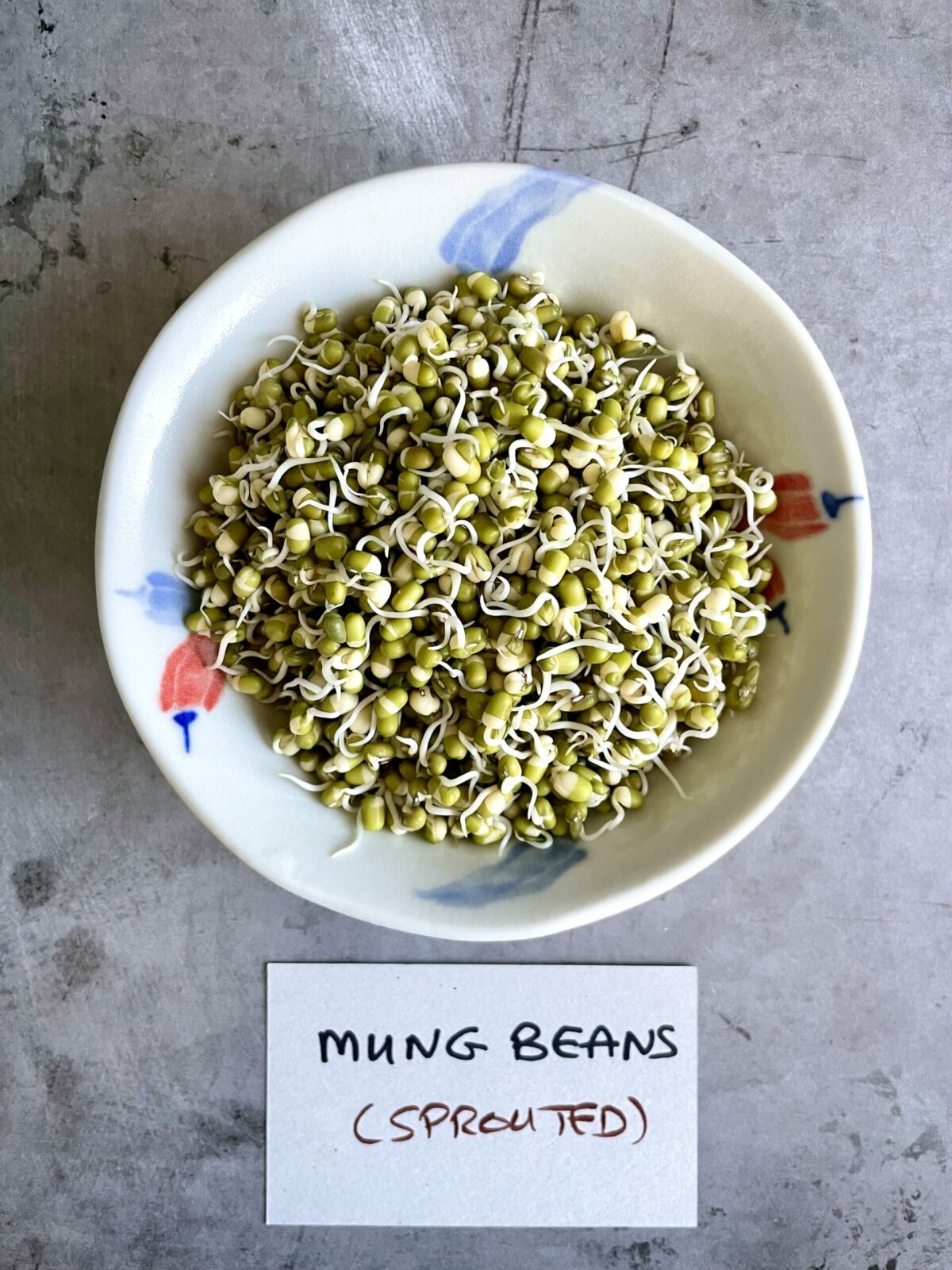 Sprouted mung beans in bowl.