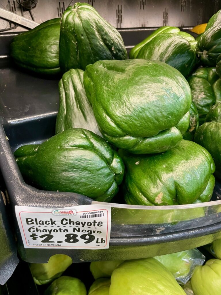 Mexican black chayote or chayote negro and regular chayote