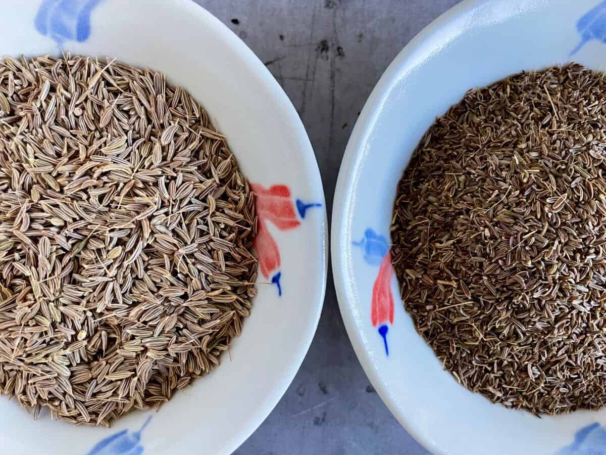 Caraway seeds vs Cumin seeds in bowls